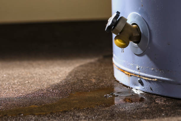 Reliable Laguna Heights, TX Water damage restoration Solutions