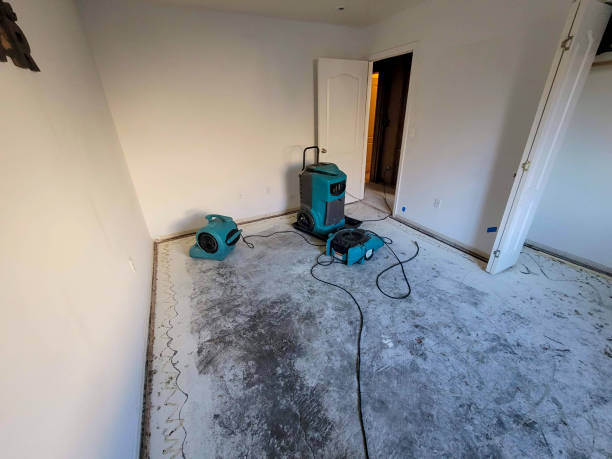 Best Water damage restoration mold remediation  in Laguna Heights, TX