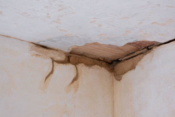  Laguna Heights, TX Water damage restoration Pros