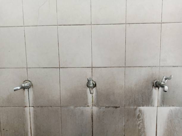 Best Flood restoration services  in Laguna Heights, TX