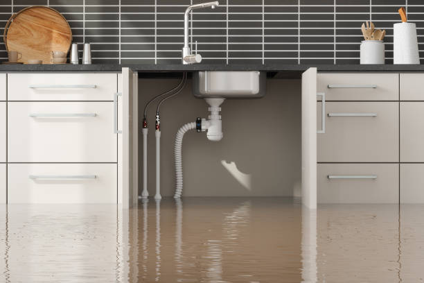 Best Flood damage cleanup  in Laguna Heights, TX
