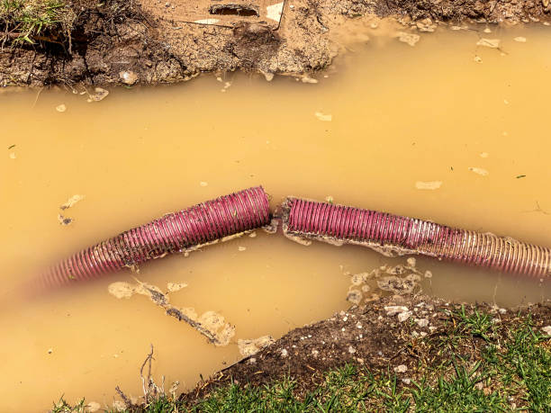 Water damage restoration insurance claims in Laguna Heights, TX
